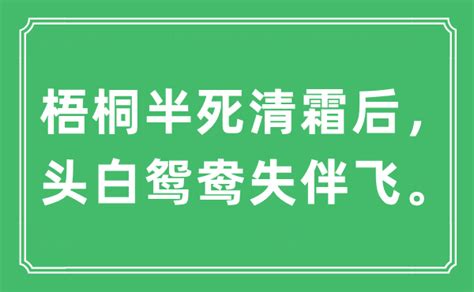 反白 意思|反白是什么意思